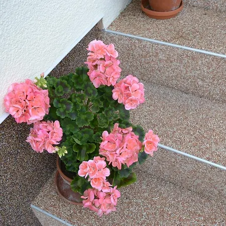 Ferienhaus Raffeiner *