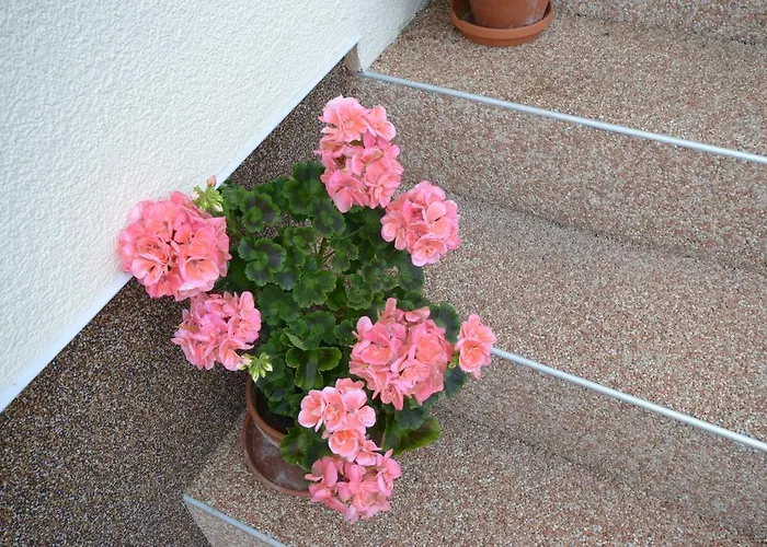 Ferienhaus Raffeiner *