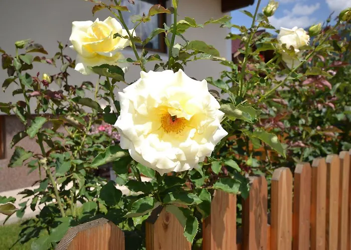 Ferienhaus Raffeiner * Uderns