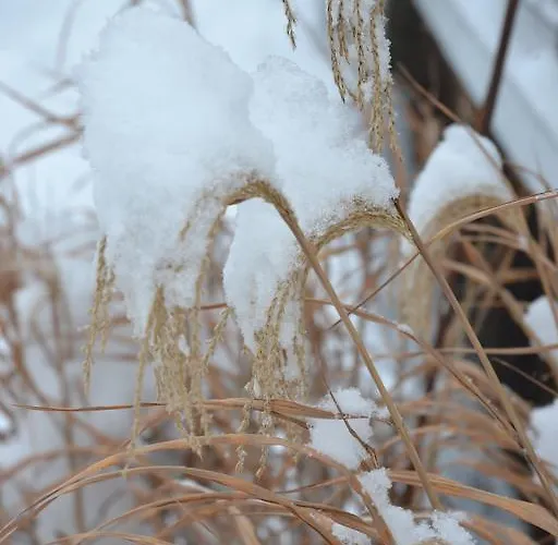 Апартаменты Ferienhaus Raffeiner *