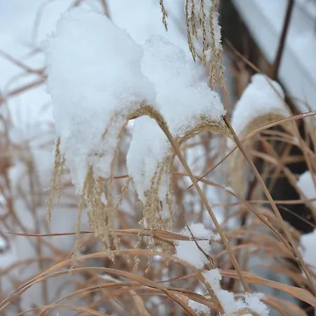 公寓 Ferienhaus Raffeiner *